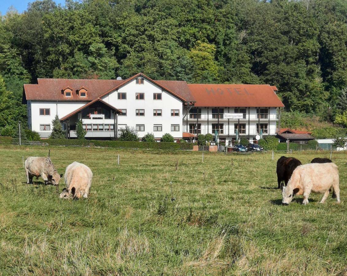 Landgasthof Rotlipp Gaestezimmer Ortenberg  Exterior photo